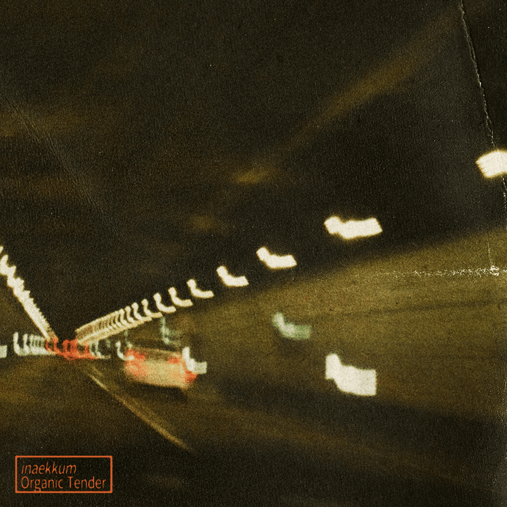 Organic Tender. 정규1집. 2025.03.02.